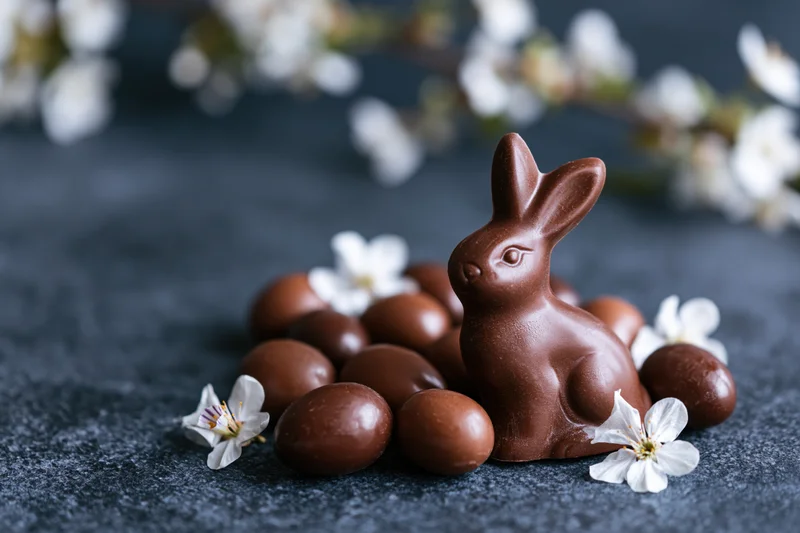 Chocolate easter bunny figurine surrounded by milk chocolate eggs and white blossoms on dark stone surface
