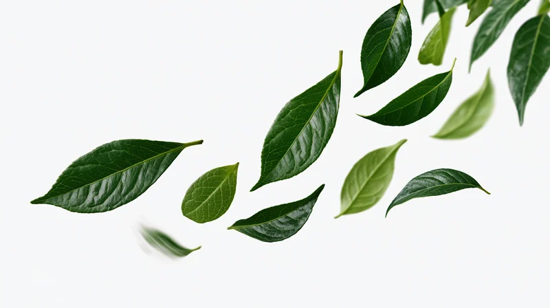 Green leaves floating diagonally across a white background