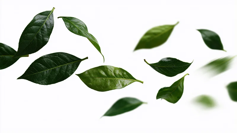 Green leaves floating midair in a diagonal sweep against white background