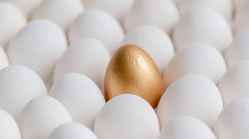 Golden egg among white eggs in close-up arrangement
