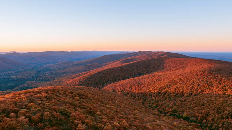Panoramic view of autumn forested mountains at sunset from a high ridge
