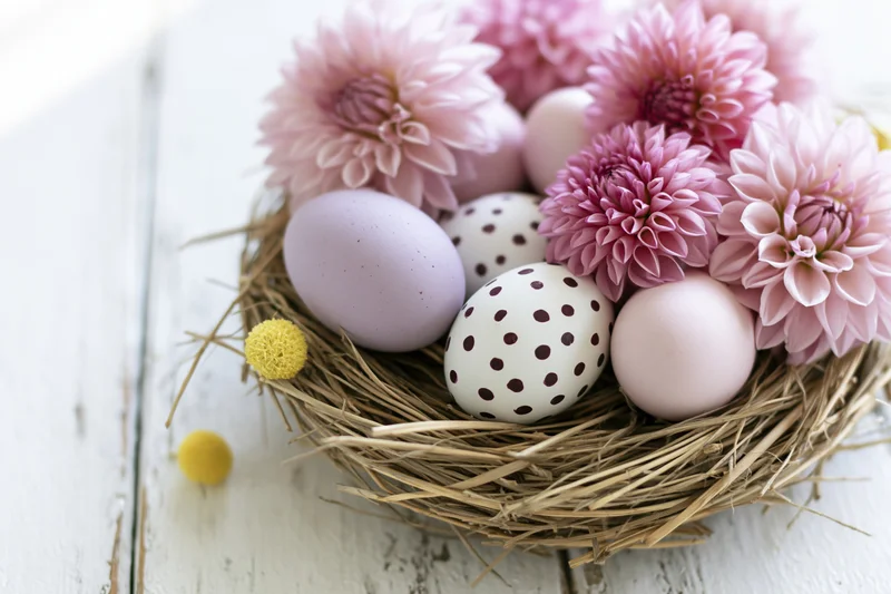 Pastel easter eggs and pink dahlia flowers in a straw nest on a white wooden surface