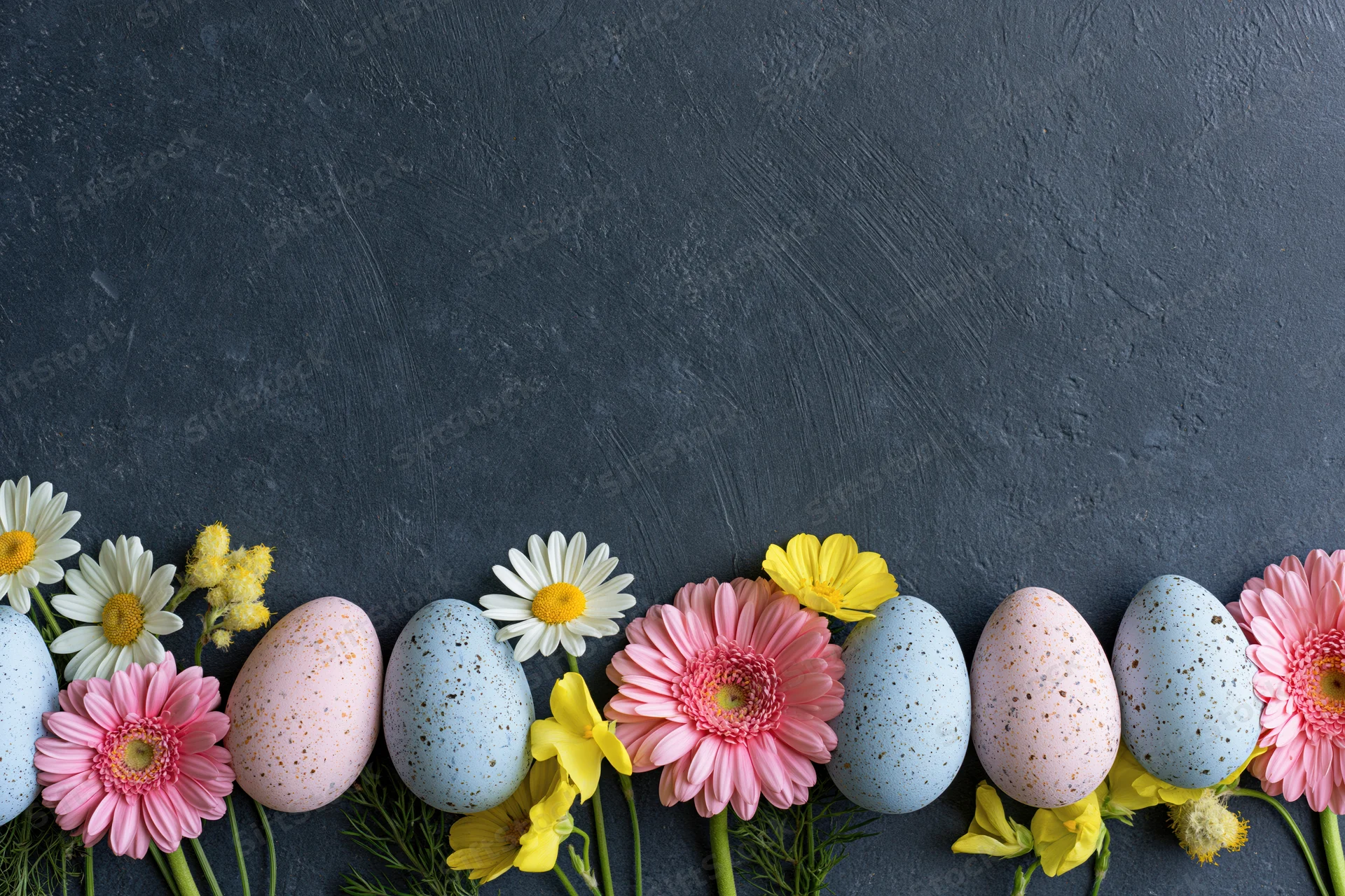 Pastel speckled easter eggs and spring flowers arranged in a row along the bottom of a dark textured surface