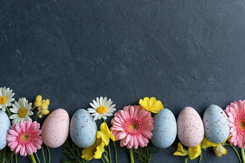 Pastel speckled easter eggs and spring flowers arranged in a row along the bottom of a dark textured surface