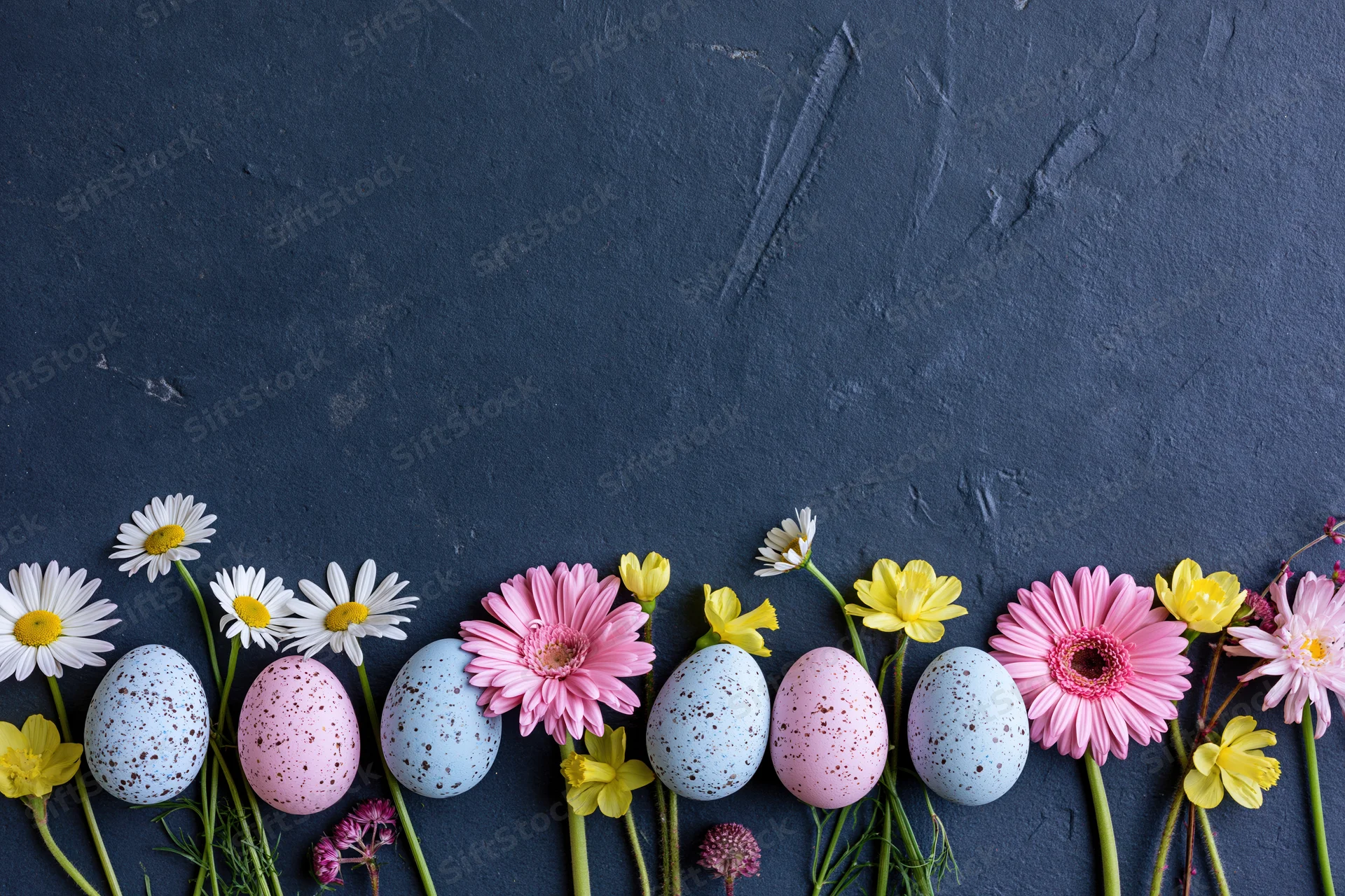 Pastel speckled easter eggs and spring flowers arranged in a row along the bottom of a dark textured surface