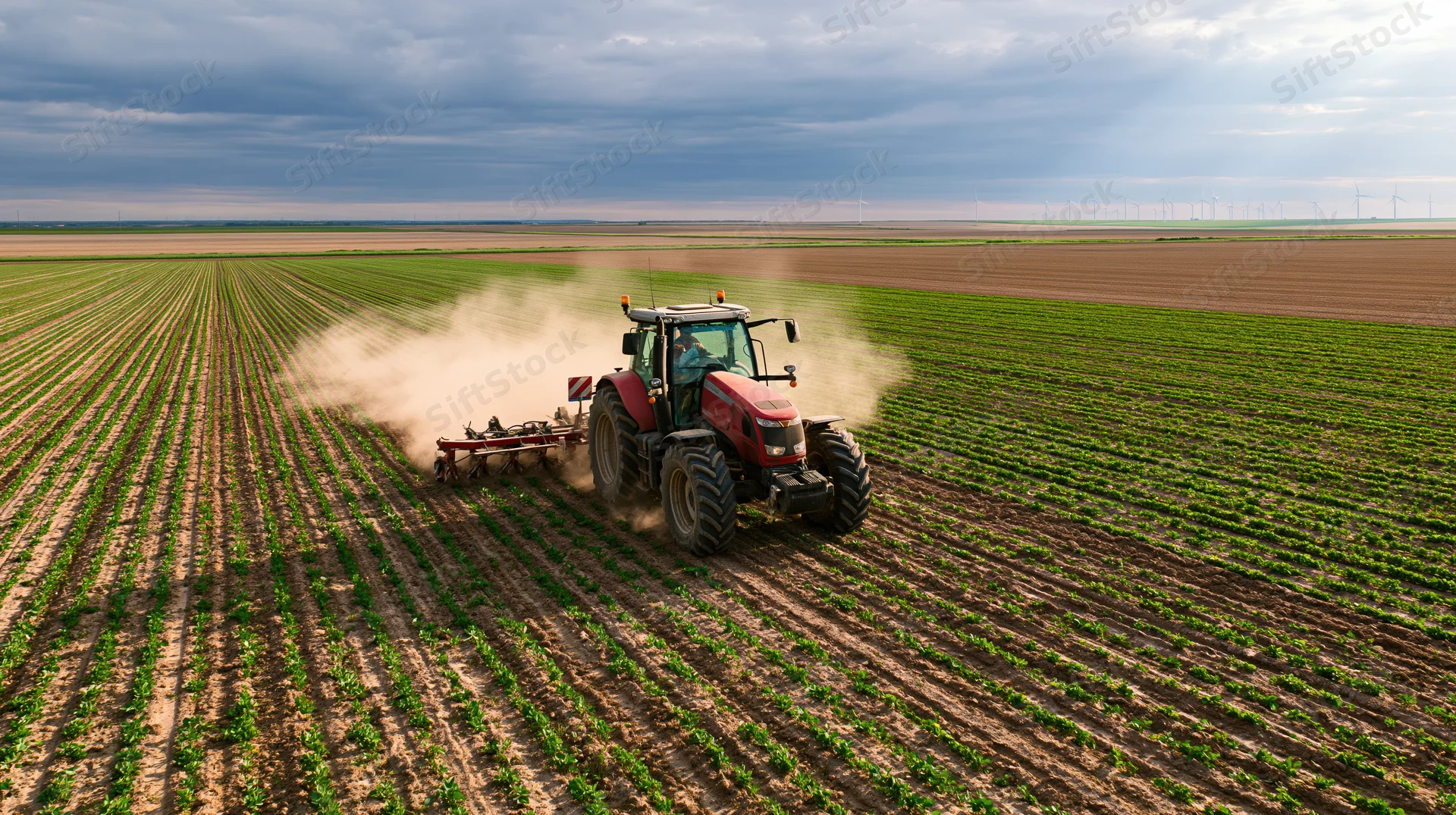 Red tractor pulling a cultivator across a vast field of young crops