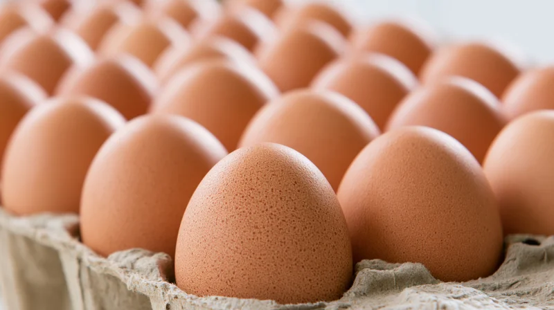Rows of brown chicken eggs arranged in a cardboard carton