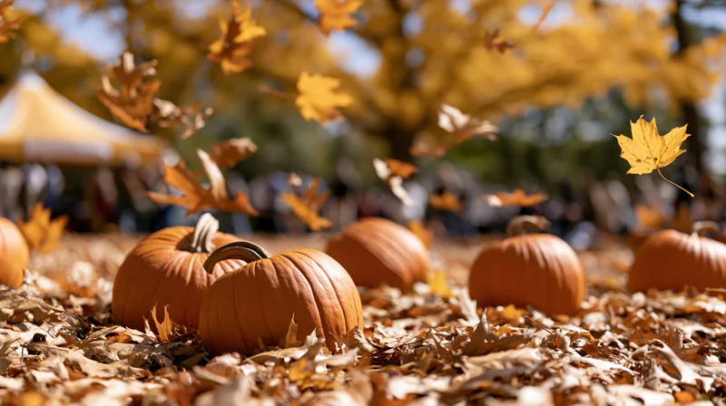Pumpkins resting on a carpet of fallen leaves under a maple tree at an autumn festival
