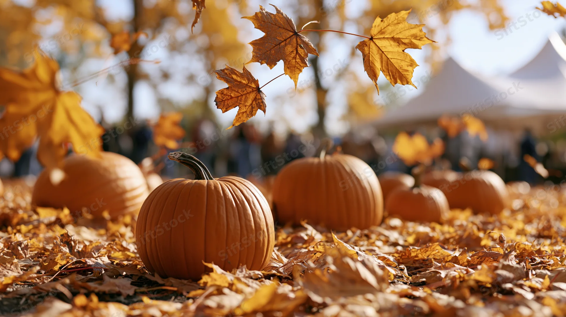 Pumpkins resting on a carpet of fallen autumn leaves in an outdoor setting