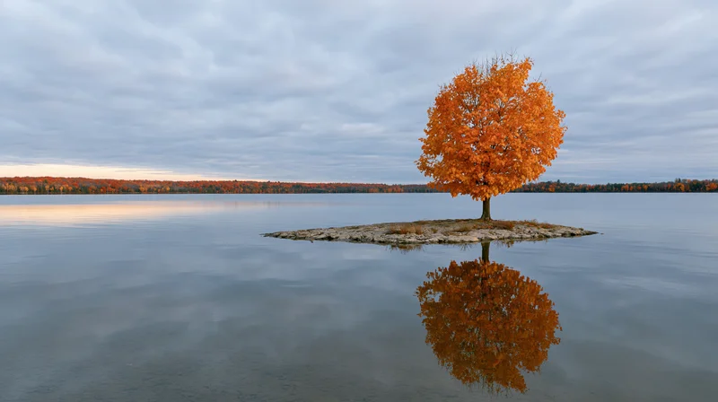 Single orange tree on small rocky island in calm lake reflecting in water under cloudy sky