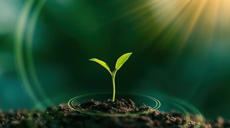 Small green seedling sprouting from soil with glowing rings and sun rays in background