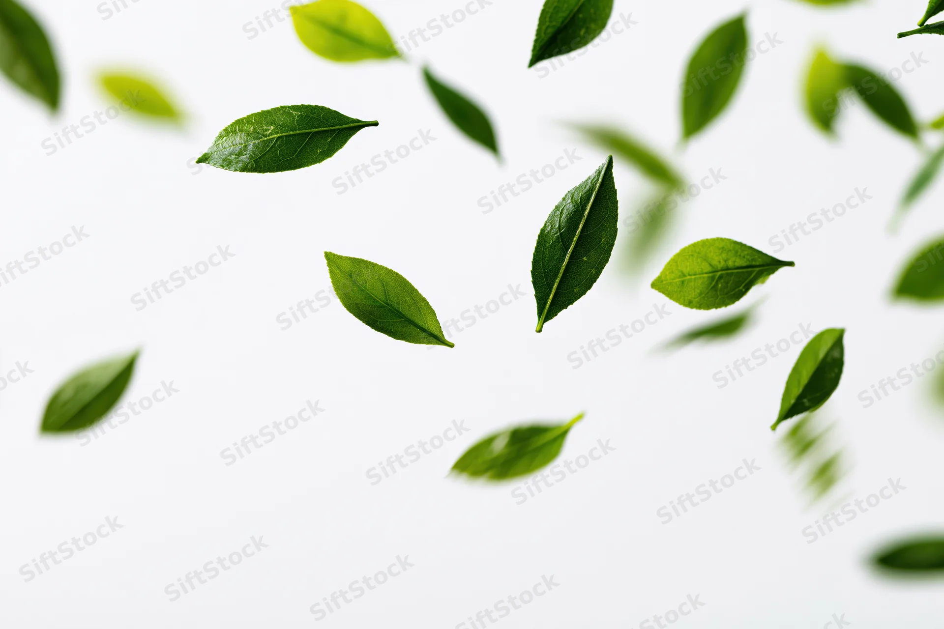 Green tea leaves floating mid-air against a white background