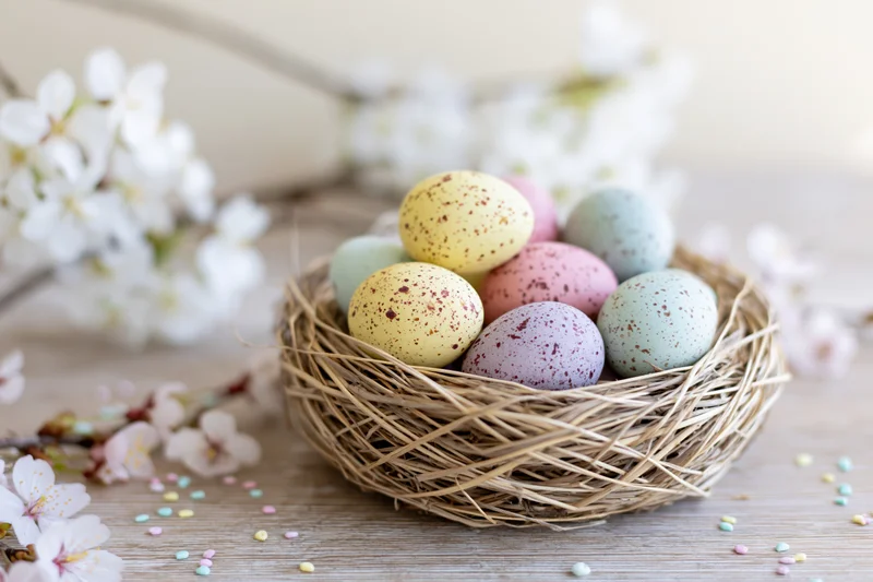 Pastel-speckled easter eggs in a woven straw nest on a wooden table with white blossoms and confetti