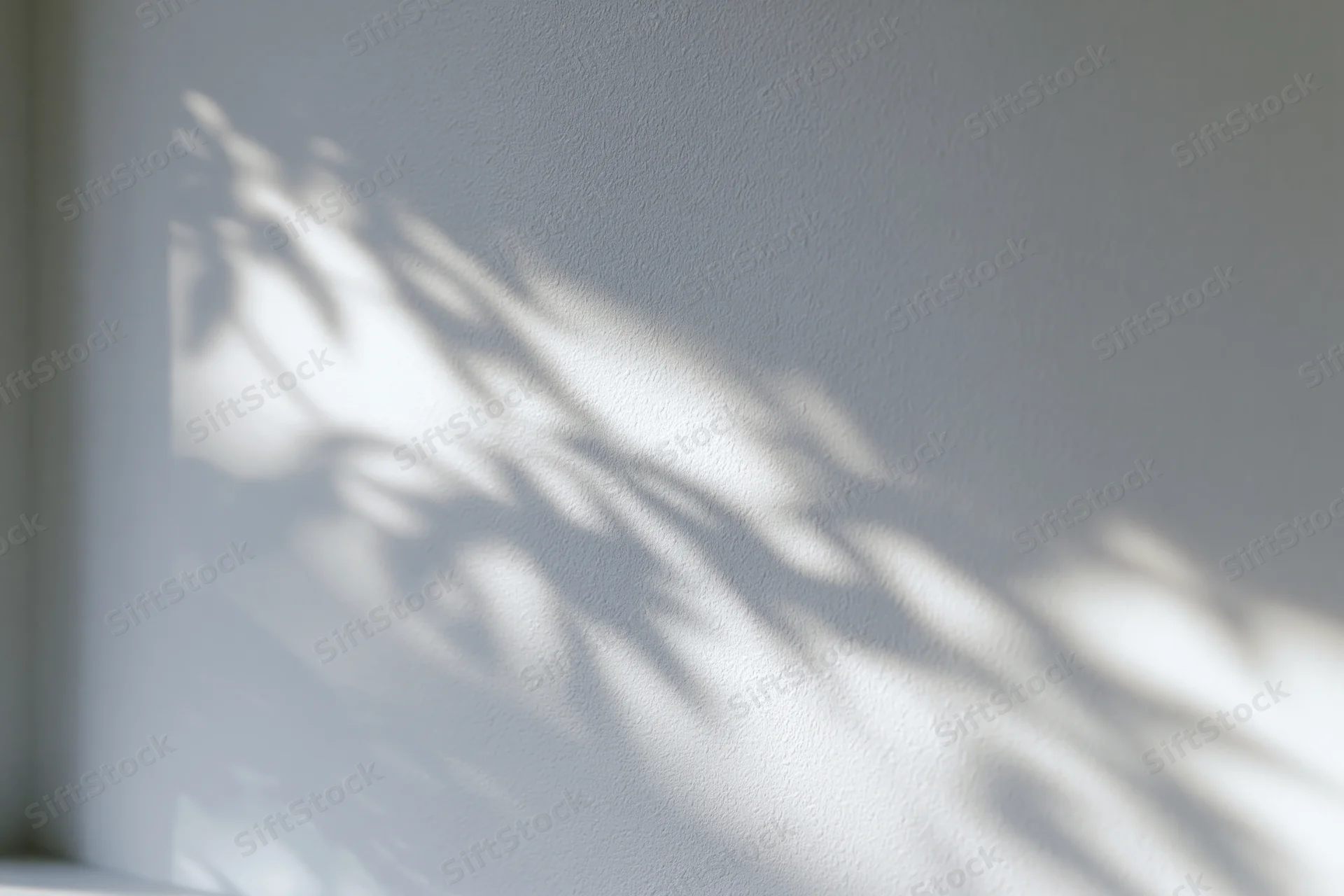 Dappled leaf shadows cast across a plain white interior wall