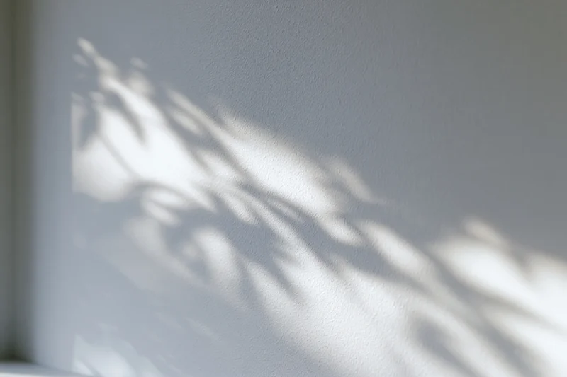Dappled leaf shadows cast across a plain white interior wall