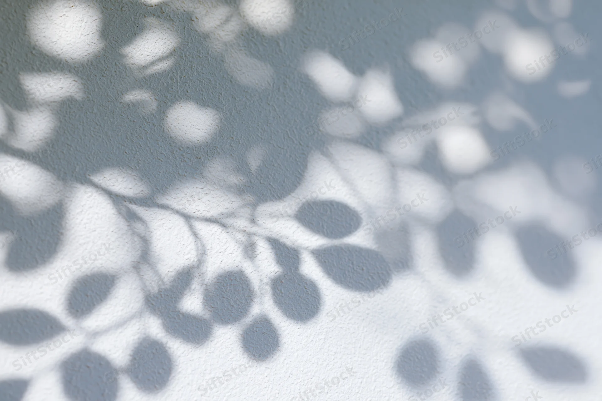 Dappled shadows of tree branches and leaves on a textured white wall