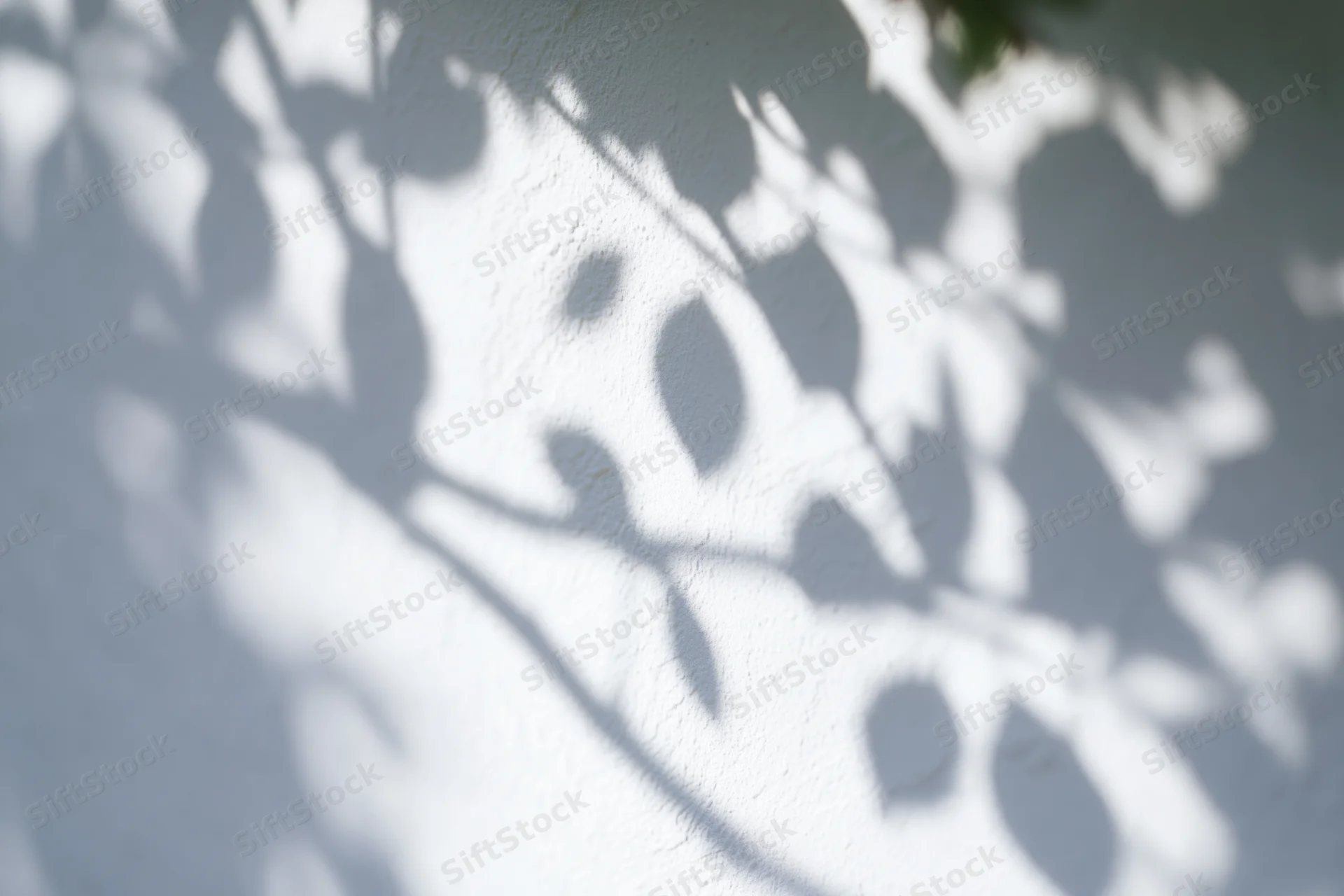 Dappled shadows of tree branches and leaves on a white textured wall in daylight