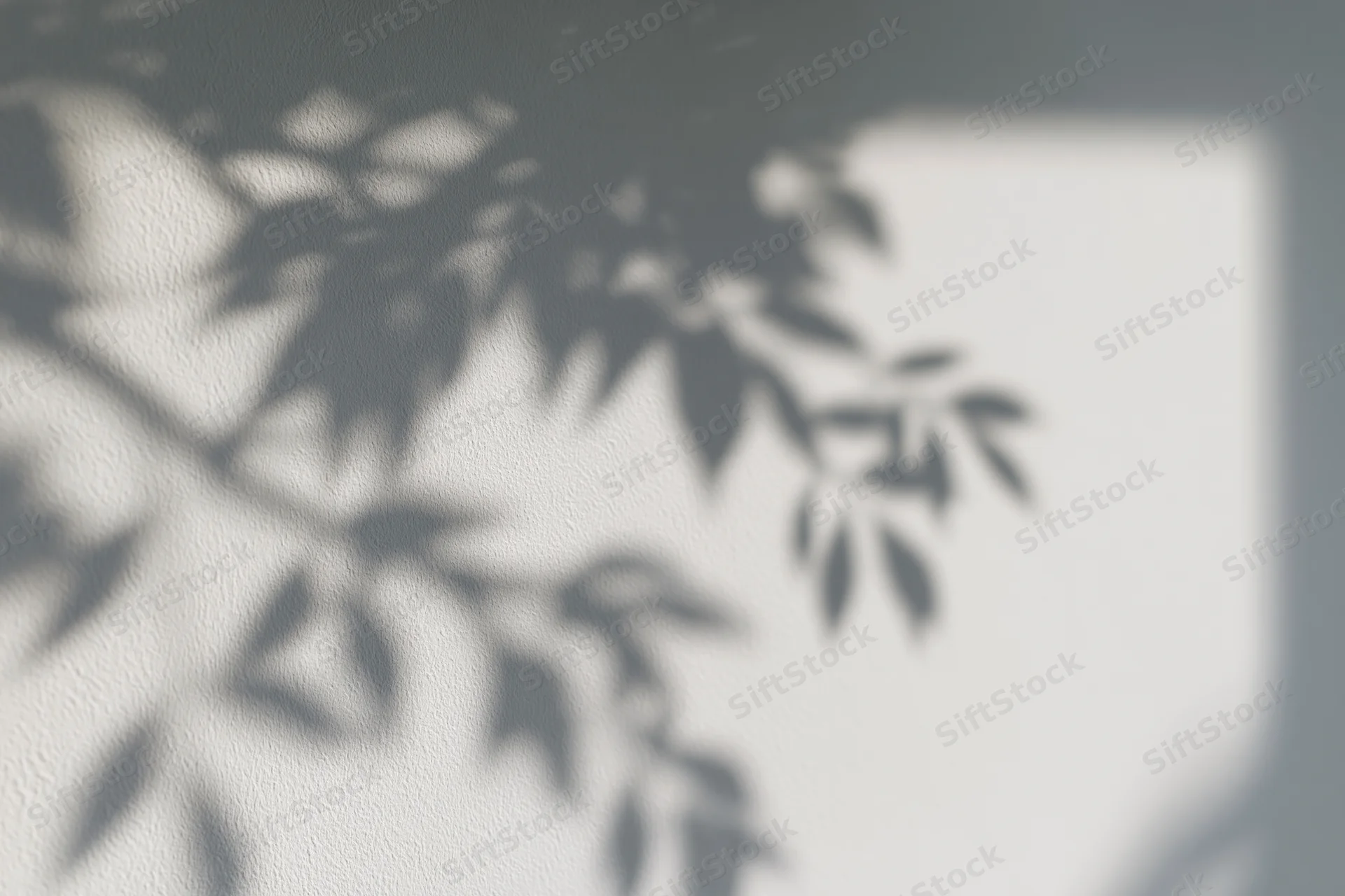 Soft grey shadows of tree branches cast across a plain white wall