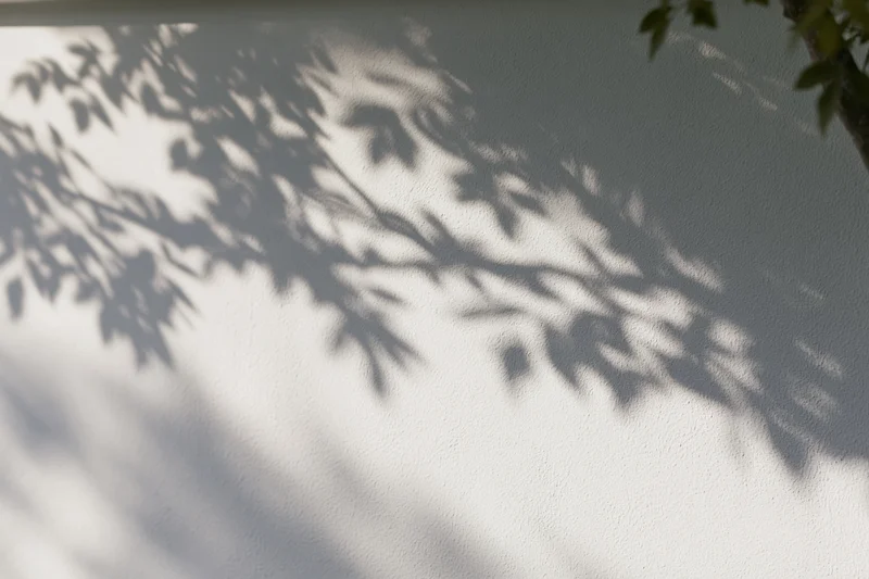 Soft grey shadows of tree branches cast across a plain white wall