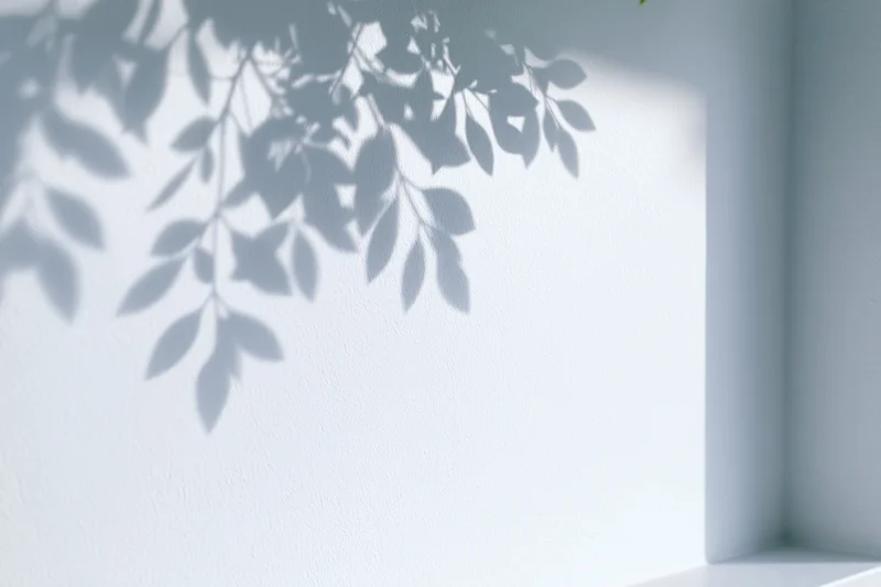Soft shadow of leafy branches cast across a plain white wall in a corner of a room