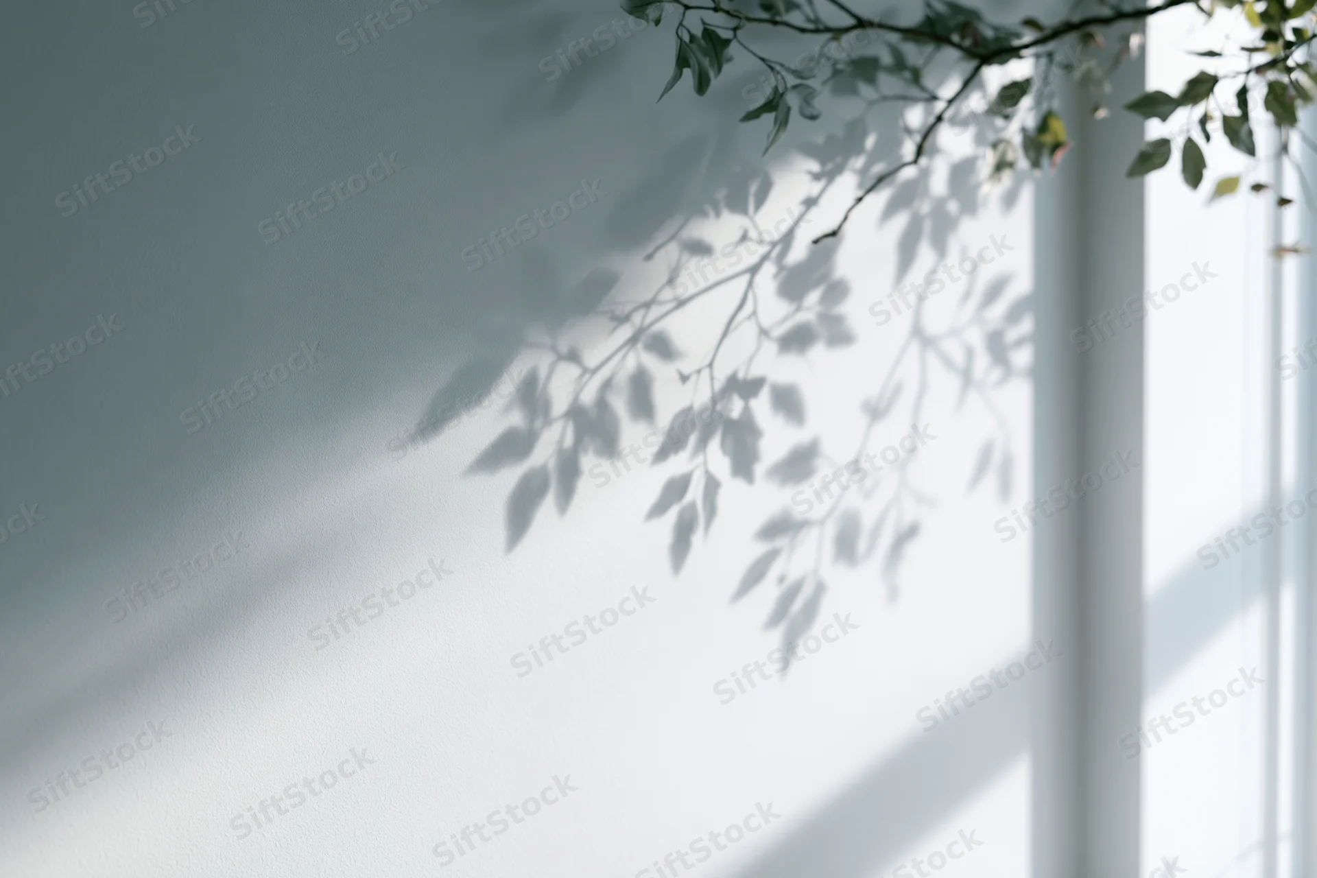 Leafy branches casting soft shadows on a white interior wall