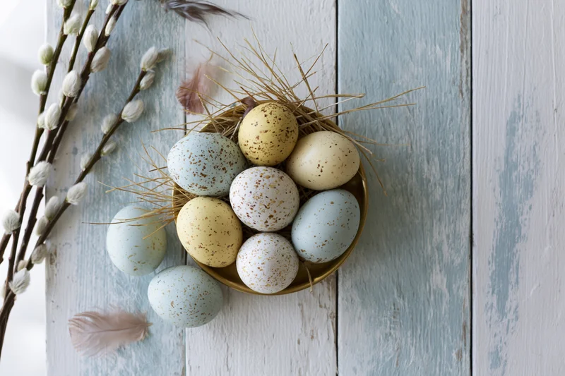 Speckled easter eggs in pastel colors arranged in a nest with willow branches and feathers on a weathered wooden surface
