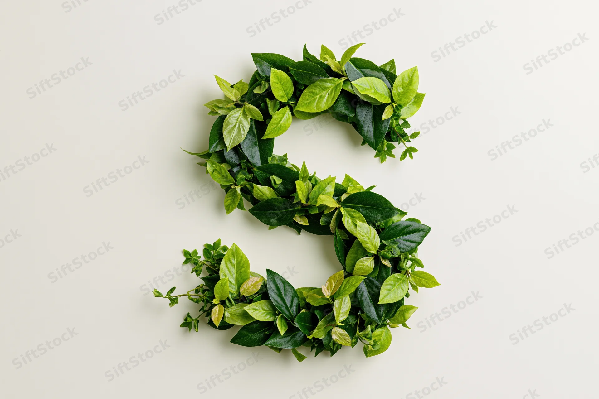 Letter s formed from dense green tropical leaves on white surface