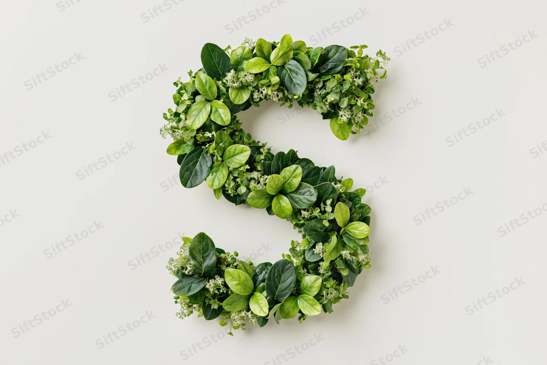 Letter s formed from green tropical foliage on white background