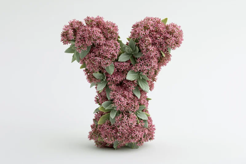 Letter Y shaped from dense clusters of pink sedum