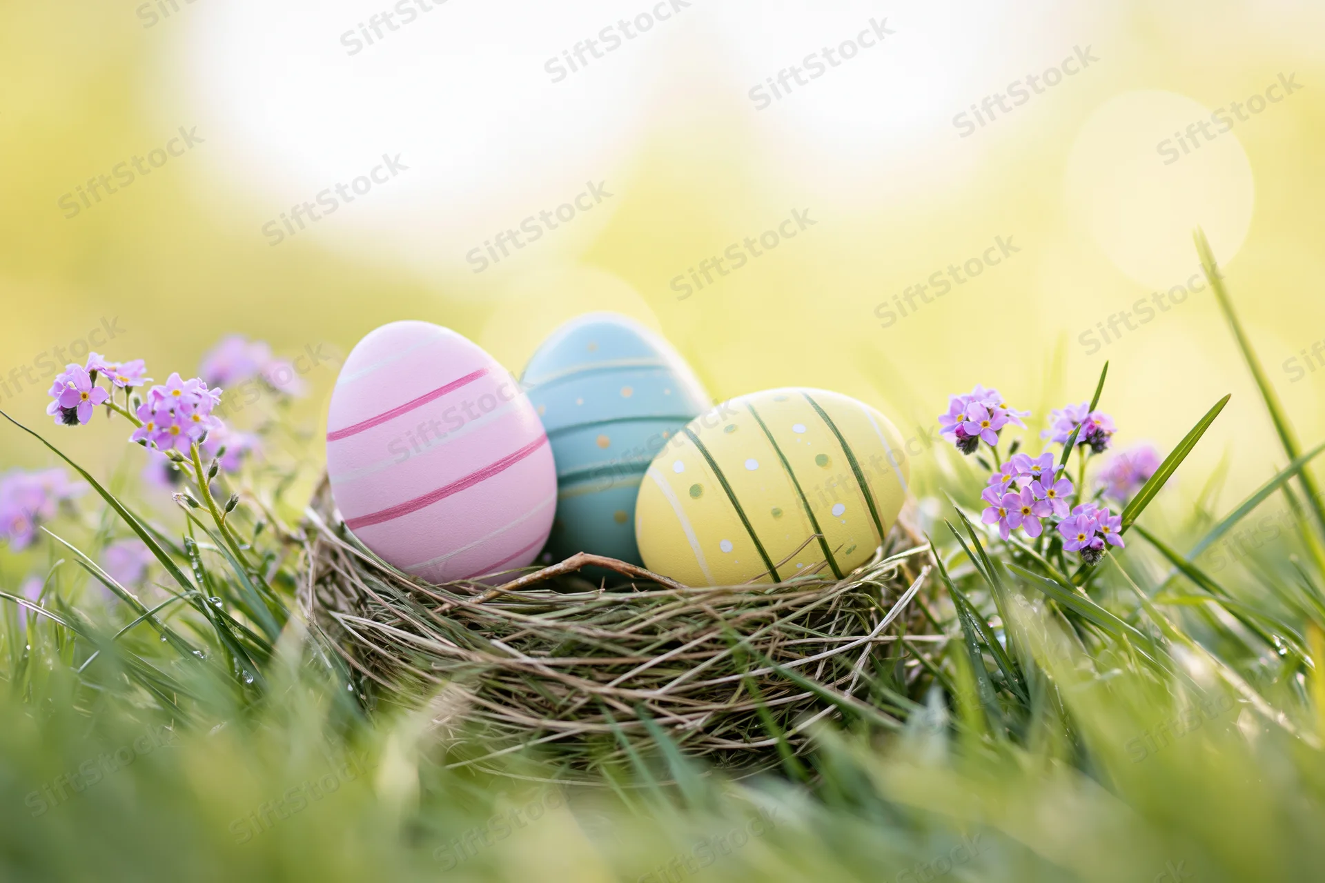 Three painted easter eggs in a twig nest surrounded by purple flowers and green grass in a sunlit meadow