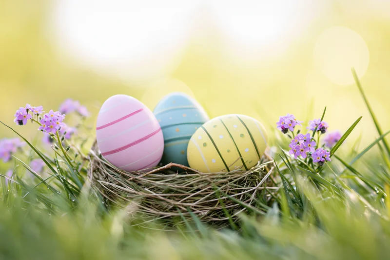 Three painted easter eggs in a twig nest surrounded by purple flowers and green grass in a sunlit meadow