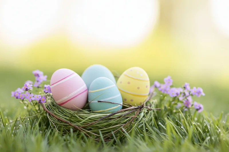 Painted easter eggs in a twig nest surrounded by purple flowers on green grass