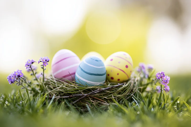 Three painted easter eggs in a twig nest on green grass with purple flowers