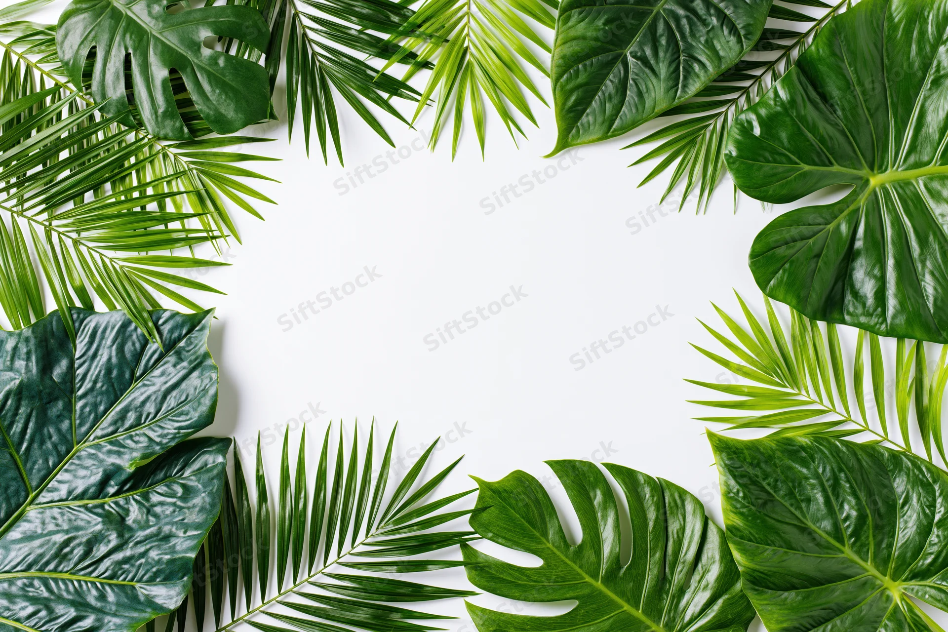 Tropical foliage arranged in a frame around white copyspace