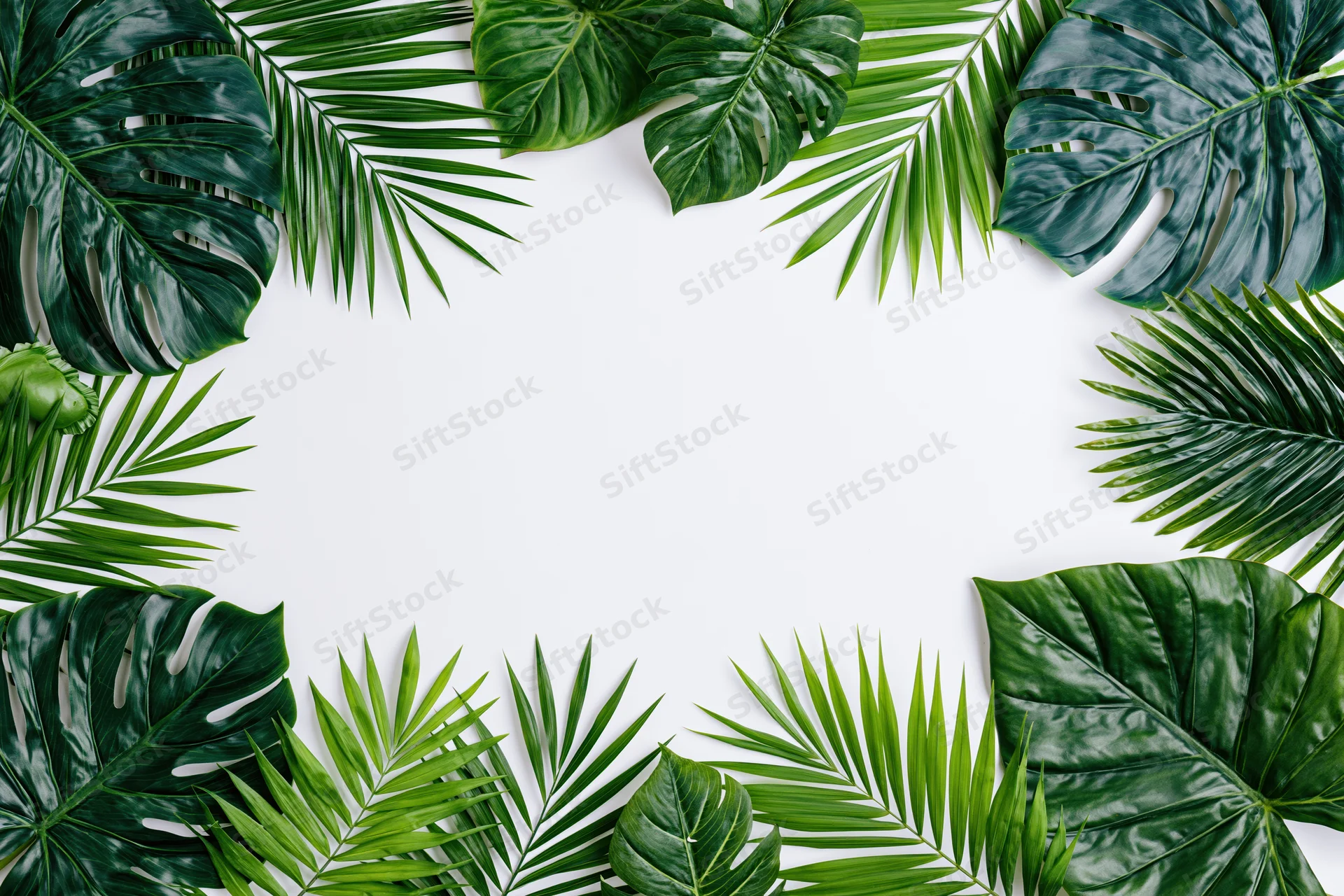 Tropical leaves arranged in a frame around white copyspace