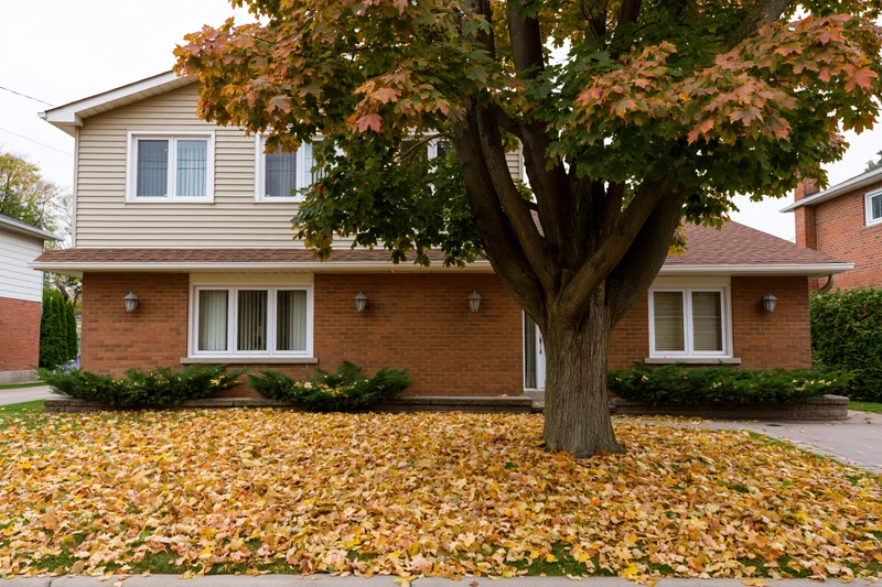 Two-story suburban brick house with beige siding and autumn leaves in front yard