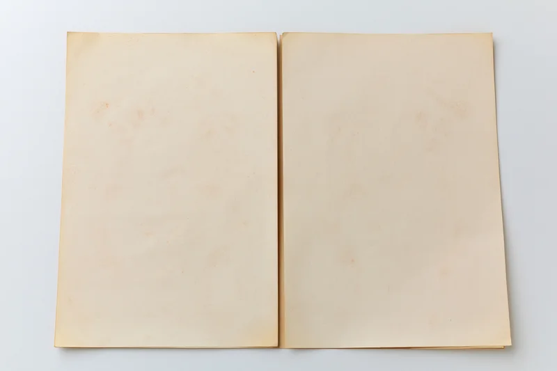 Two blank aged paper sheets laid flat side by side on white surface