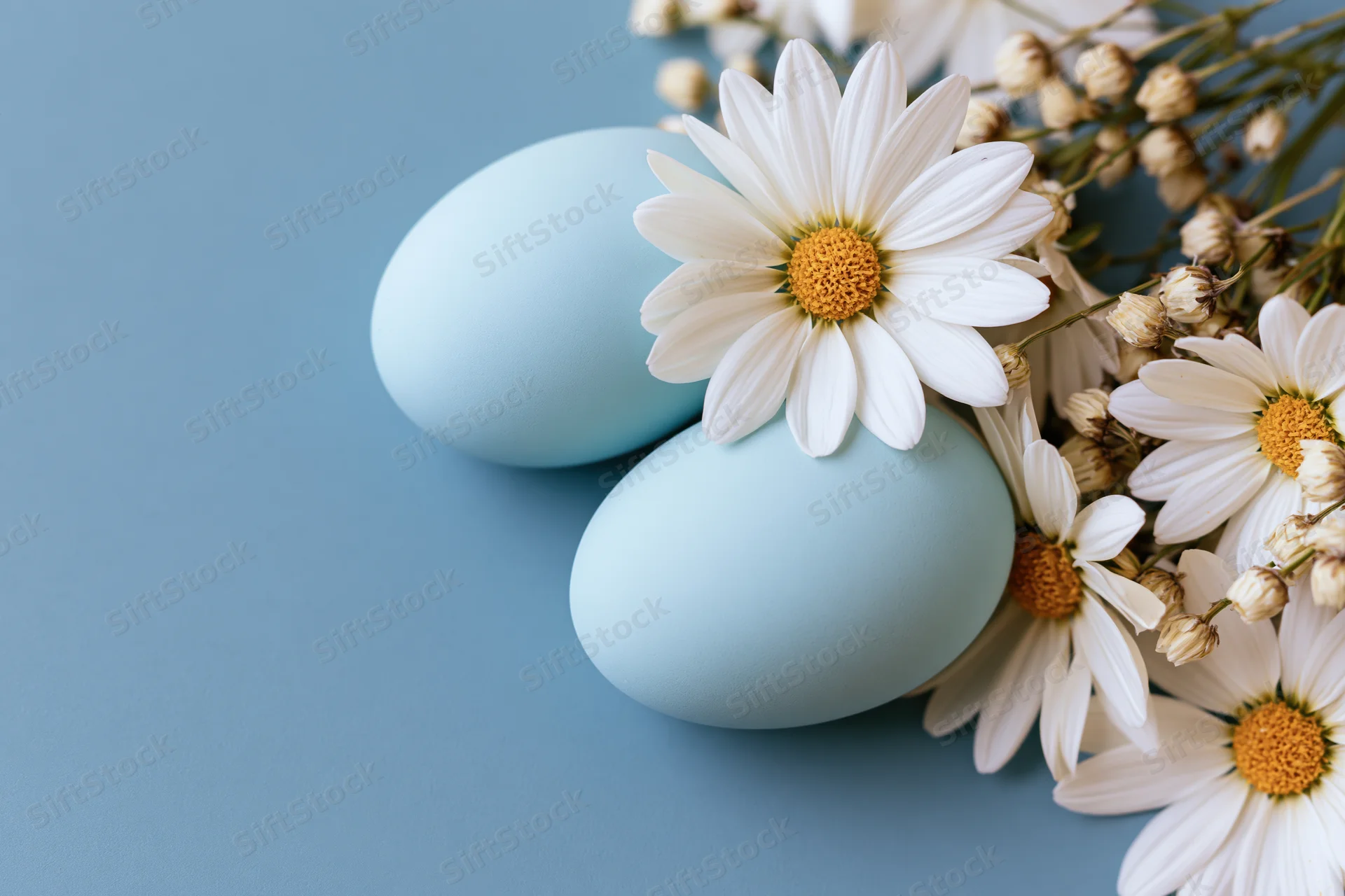 Two pale blue easter eggs nestled among white daisy flowers on a blue surface