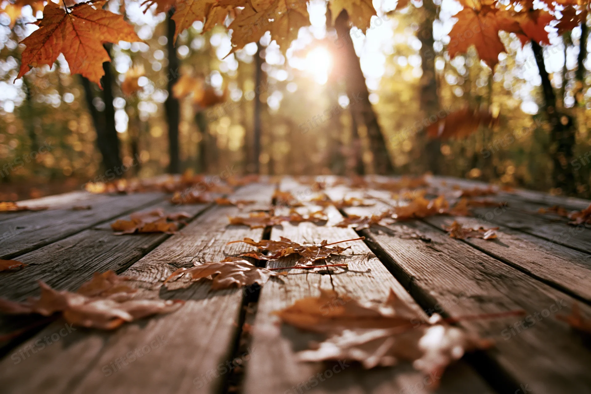 Weathered wooden picnic table covered in fallen maple leaves in an autumn forest with sunlight filtering through trees
