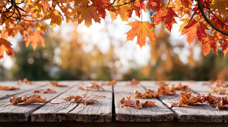 Weathered wooden table with scattered autumn maple leaves in foreground, outdoor setting with blurred foliage background
