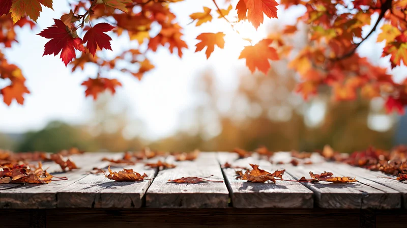 Weathered wooden table with scattered autumn maple leaves under hanging branches in a sunlit outdoor setting