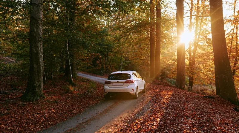 White compact hatchback driving away on winding forest road covered in autumn leaves at sunset