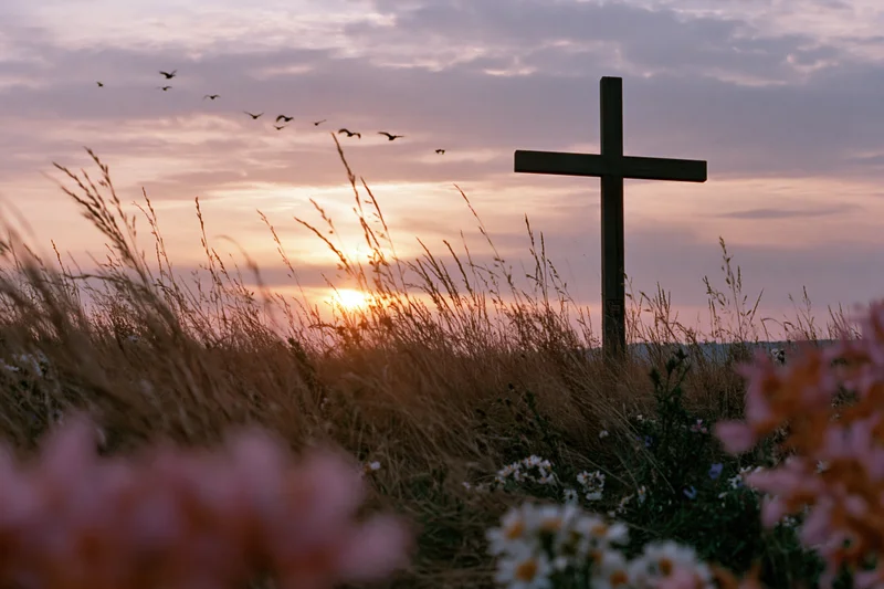 Wooden Christian cross standing in a wildflower meadow at sunset