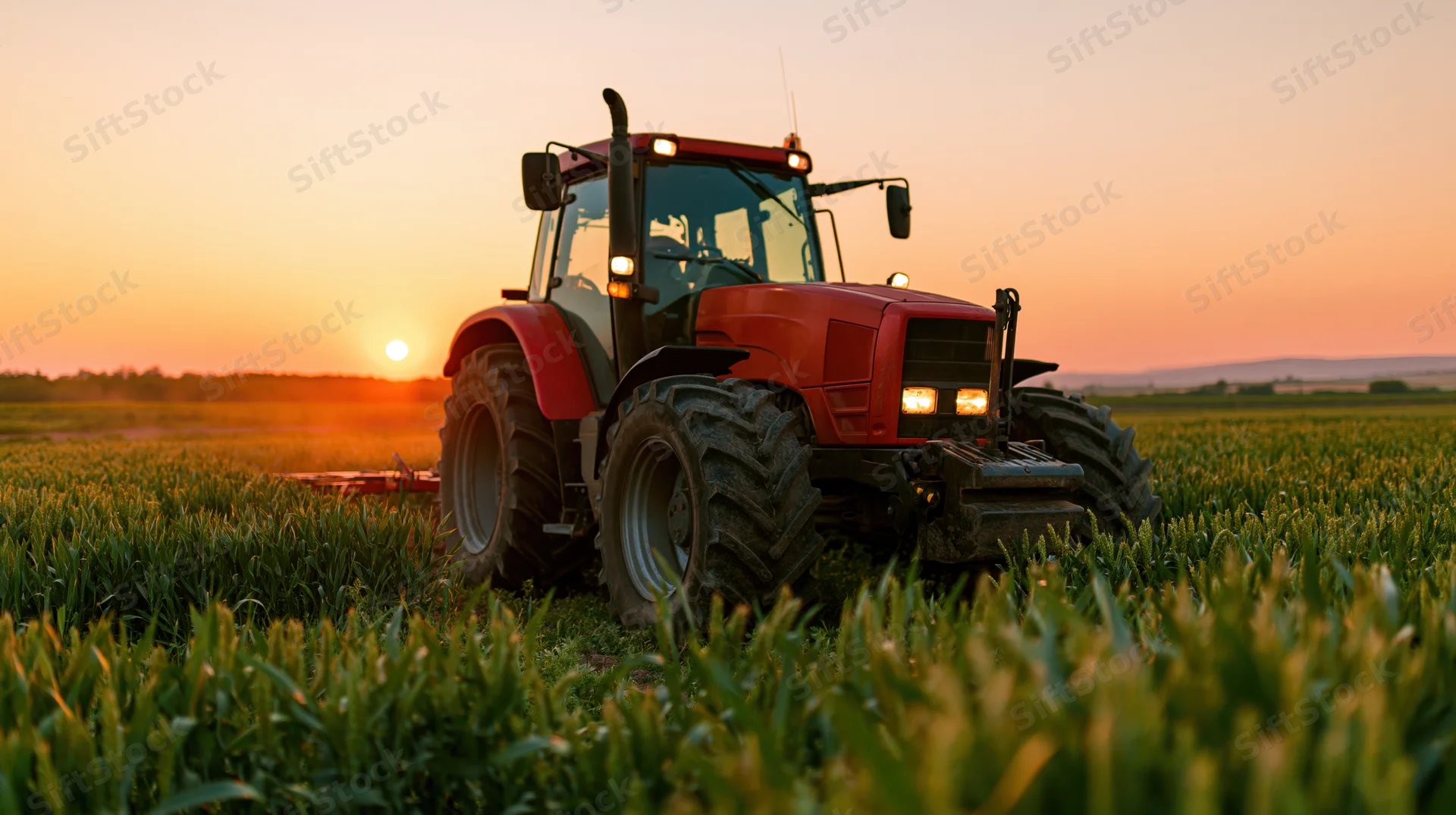 Red agricultural tractor moving through green crop field at sunset