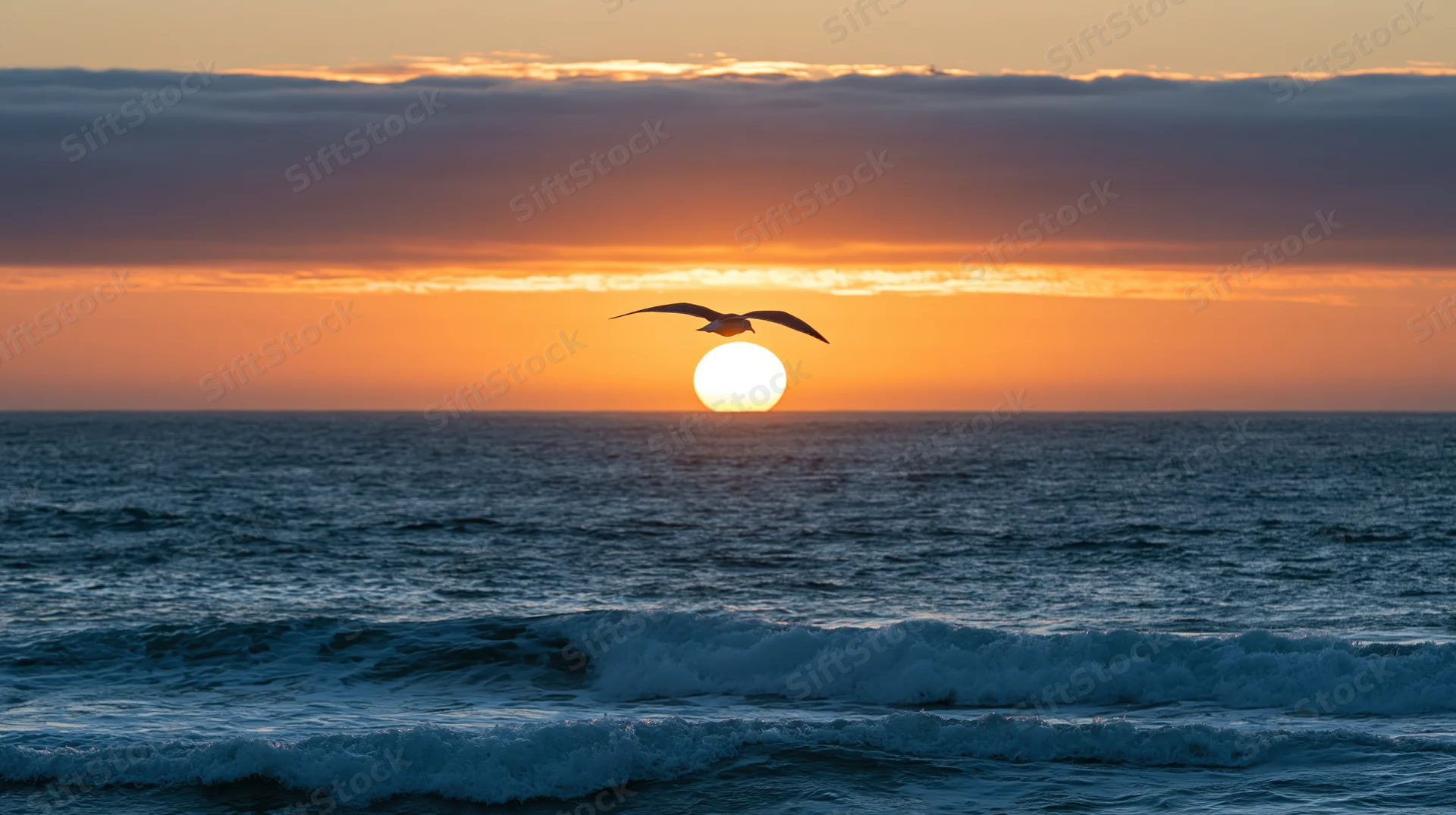 Seagull gliding with wings spread over ocean at sunset
