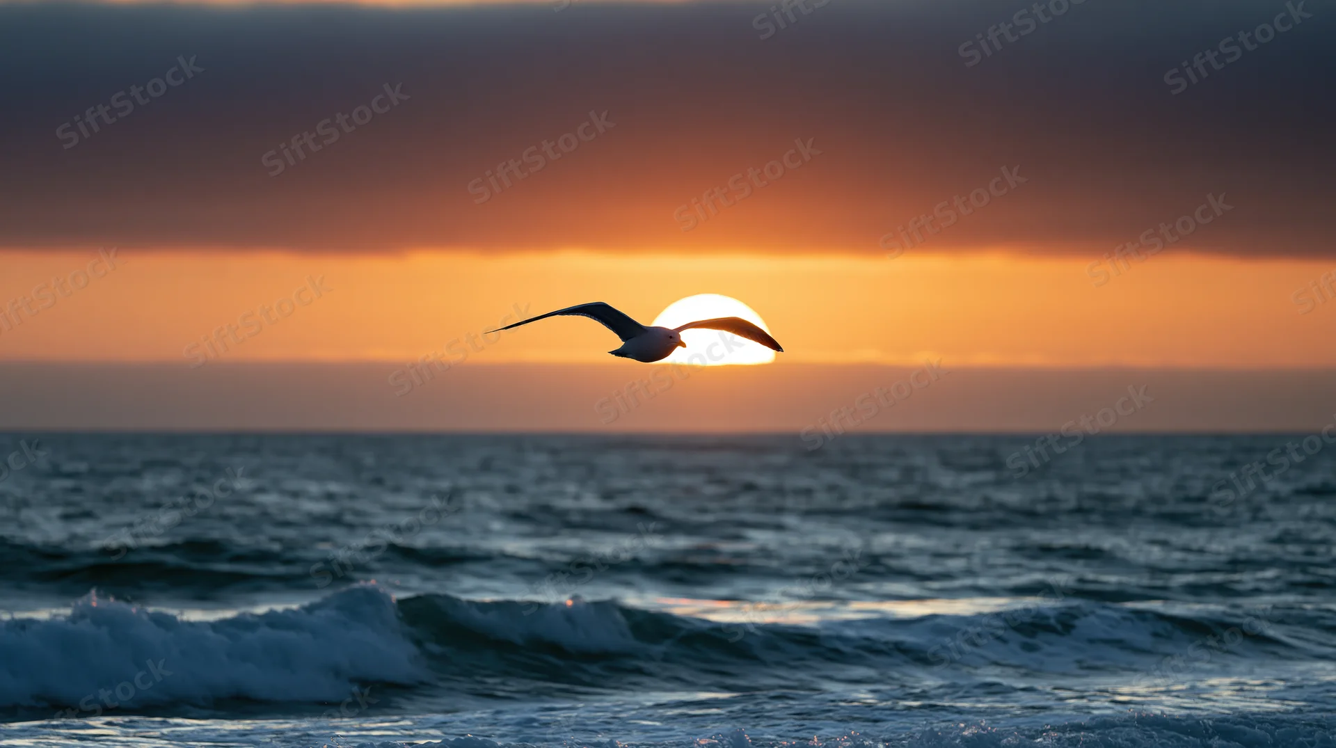 Seagull gliding with wings spread over ocean at sunset