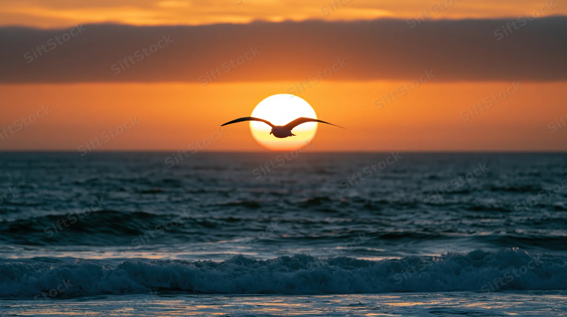 Seagull gliding with wings spread over ocean at sunset