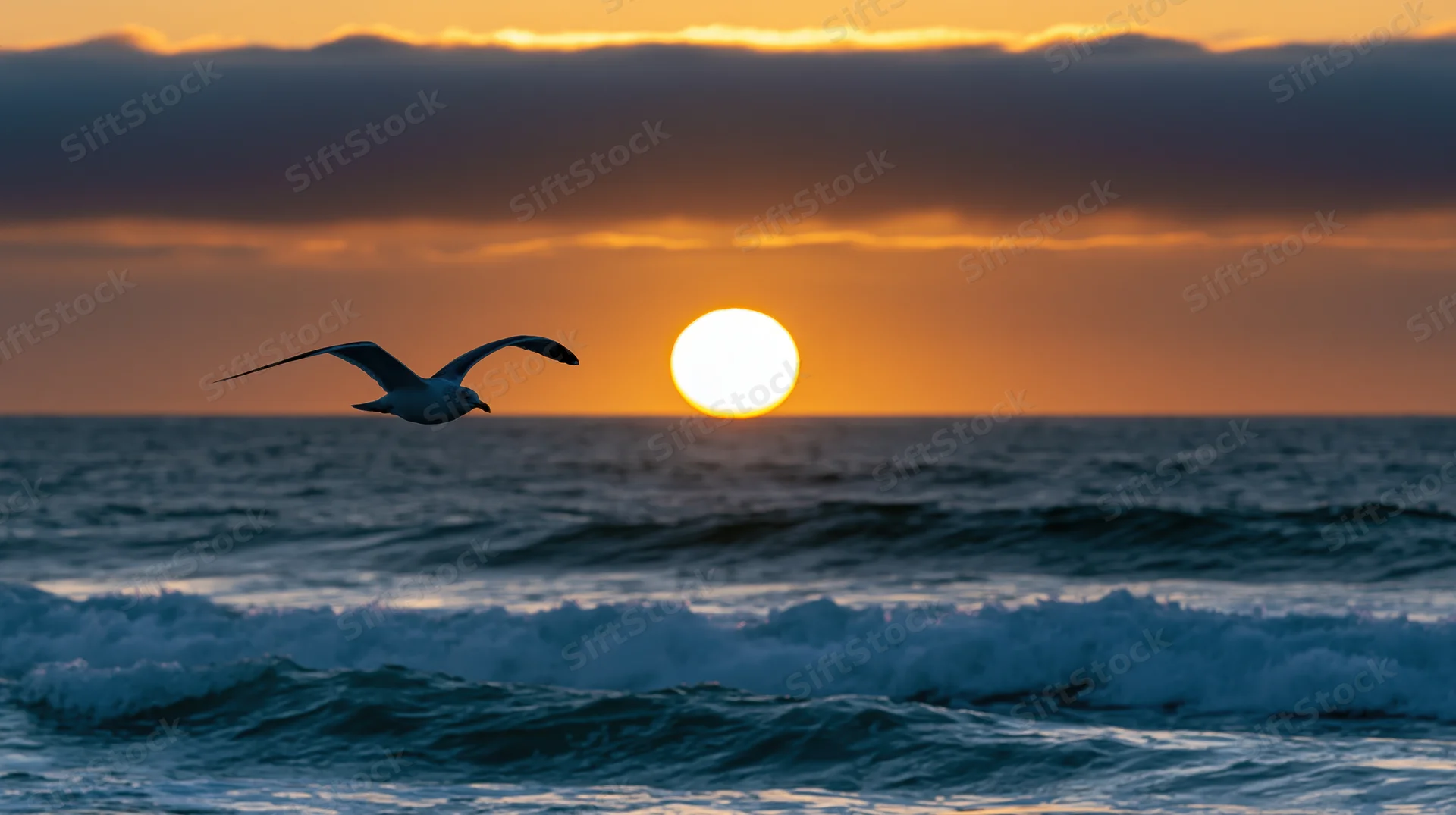 Seagull flying with wings spread over ocean at sunset