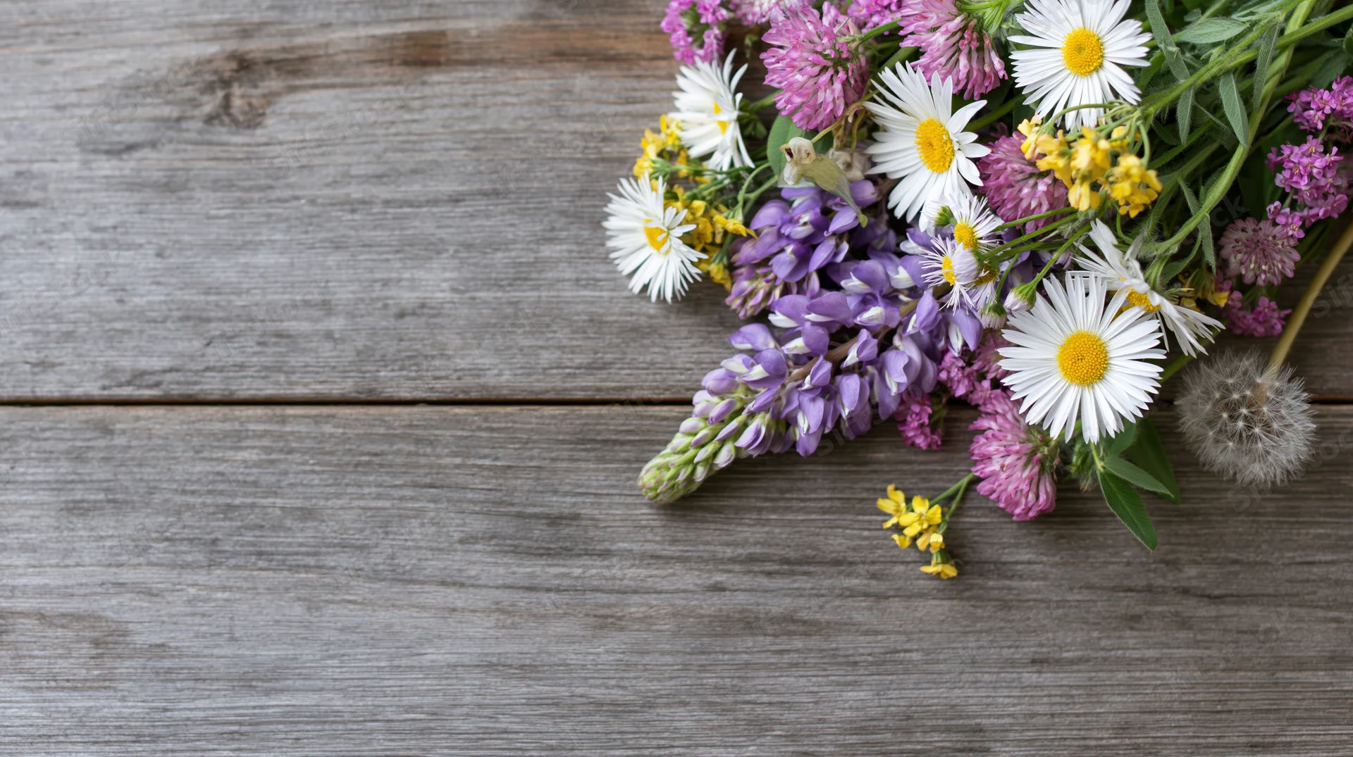 Wildflowers arranged on a weathered wooden surface with copyspace on the left