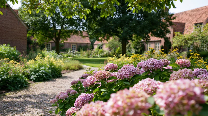 Pink hydrangeas blooming along a gravel path in a cottage garden with brick houses and trees in the background